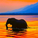 howcanthisbeillegal avatar