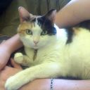 howdaretrashships avatar