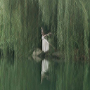 howdidienduphere12 avatar