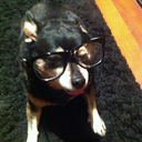 howdoesitlooktofeellikecandy avatar