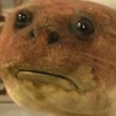 howdoipostshit avatar