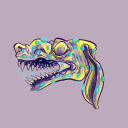 howdyboyhowdy avatar