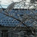 howitlookstome avatar