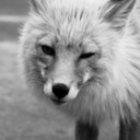 howitstarted-howitends-blog avatar