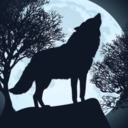 howling-wolf221 avatar