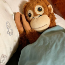 howthejetslag avatar