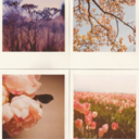 howtobehealthyyy-blog avatar