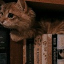 howtocatchacloud avatar