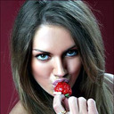 howtogetintoyourharvard avatar