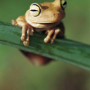 howtosurvivestuff-blog avatar