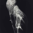 howyoulikememeow avatar