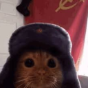 hoxhas-number-2-fan avatar