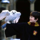 hp-potterhead-untiltheend avatar