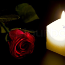 hpbachelorette avatar