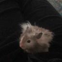 hsfiwoqjdidihwwj avatar