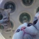 htan-sxedon-wraia-blog avatar