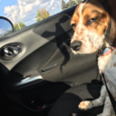 htecoreenbean avatar