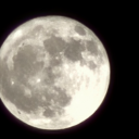 htown-curious-man avatar