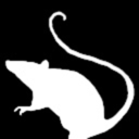 http-ratlife avatar