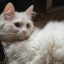 httpslovesiick avatar