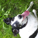 hubbaerd-blog avatar