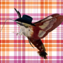 hucowboyification avatar