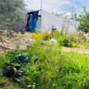 hudapalestine avatar