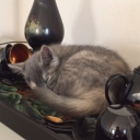 huffingpoetry avatar