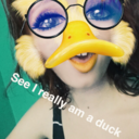 hufflepuffcactus avatar