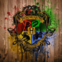 hufflepuffpotteraesthetics avatar