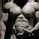 hugegaybodybuilders avatar