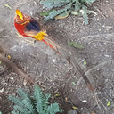 hugemotherfuckingnerd avatar