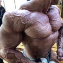 hugemuscle avatar