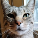 hugobugleofficial avatar