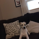 hugyourhaters avatar