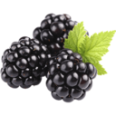 huhdjkfjd-blog avatar