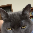 hulkwritesthings avatar