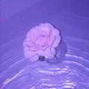 human-suggestions avatar