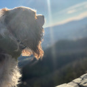 human-trash06 avatar