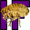 humanflea avatar