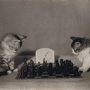 humanimpersonator avatar