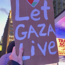 humanityjournalist avatar