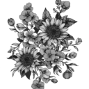 humanprobably avatar