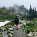 humans-and-nature avatar