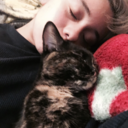 humans-are-knot-real avatar