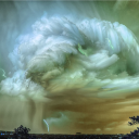 humans-are-space-florida avatar