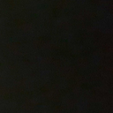 humansandnohumanity avatar