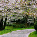 humeyraagokcenn avatar