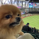 humhallelujahz avatar