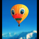 humidcitrusgrove avatar